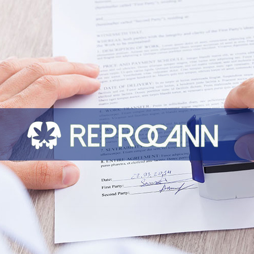 REPROCANN: El Registro Nacional de Cannabis Medicinal en Argentina